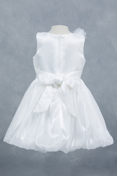 Baby Girl Party Dress Flower Girl Special Occasion