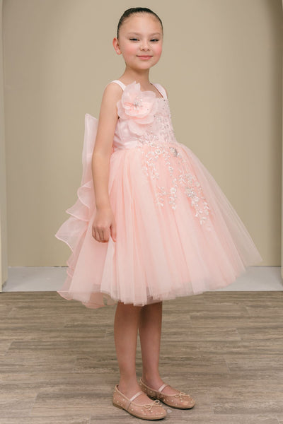 Girls Blush Flower Girl Dress – Celestina