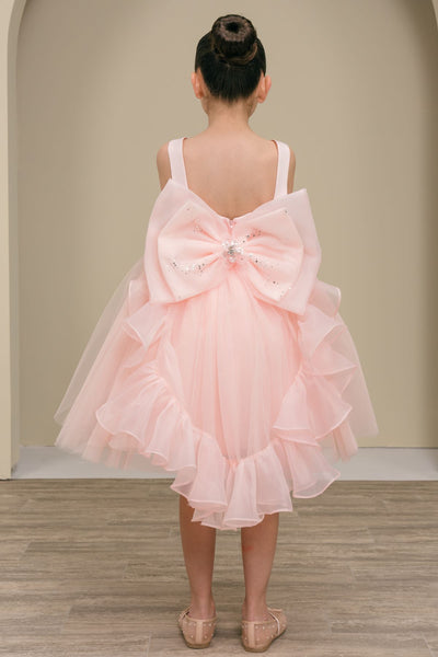 Girls Blush Flower Girl Dress – Celestina