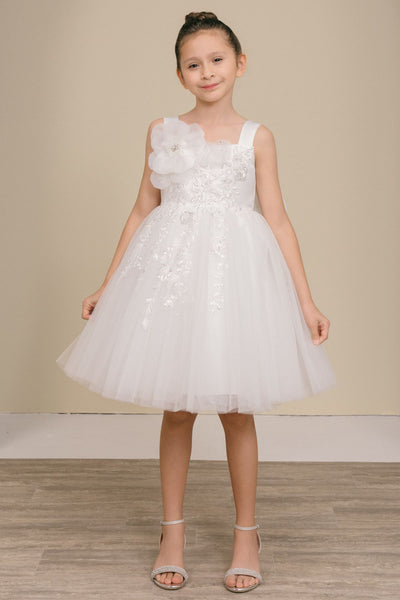 Girls Blush Flower Girl Dress – Celestina
