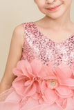 Sequin Ruffle Girls Pageant Dress | Birthday & Party Gown
