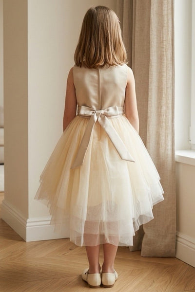 Elara Sky Special Occasion Dress for Girls