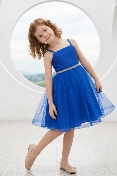 Girls Pageant Dress Tulle Party Dress Multi Layered Special Occasion