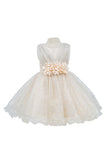 Baby Sequin Lace Special Occasion Dress 6-24M