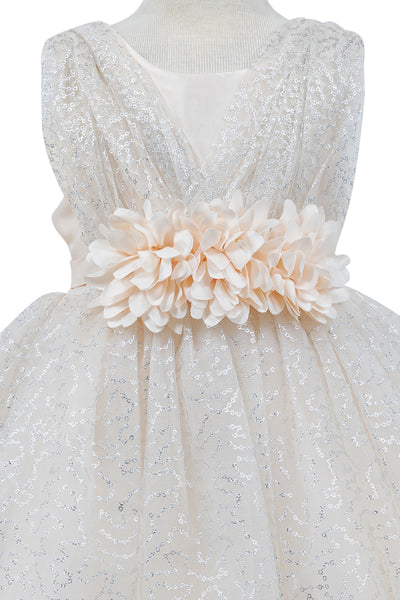 Baby Sequin Lace Special Occasion Dress 6-24M
