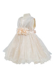 Baby Sequin Lace Special Occasion Dress 6-24M