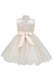 Baby Sequin Lace Special Occasion Dress 6-24M