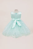 Baby Sequin Lace Special Occasion Dress 6-24M
