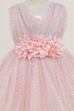Baby Sequin Lace Special Occasion Dress 6-24M
