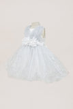 Baby Sequin Lace Special Occasion Dress 6-24M