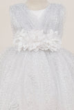 Baby Sequin Lace Special Occasion Dress 6-24M