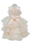 Baby Tiered Ruffle Special Occasion Dress