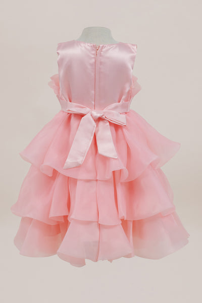Baby Tiered Ruffle Special Occasion Dress
