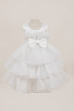 Baby Tiered Ruffle Special Occasion Dress