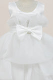 Baby Tiered Ruffle Special Occasion Dress