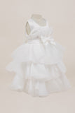 Baby Tiered Ruffle Special Occasion Dress