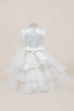 Baby Tiered Ruffle Special Occasion Dress