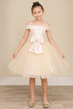 Girls Off Shoulder Tulle Special Occasion Party Dress with Bow
