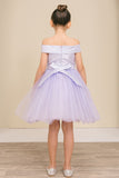 Girls Off Shoulder Tulle Special Occasion Party Dress with Bow