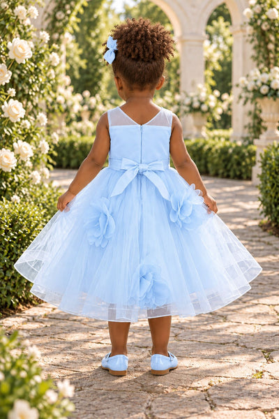 Blush Collection Baby Girl 3D Floral Special Occasion Dress
