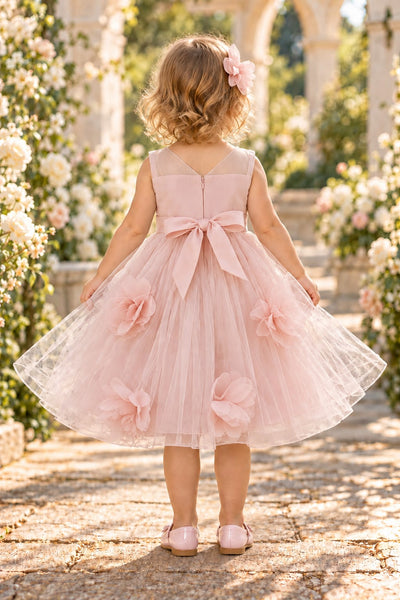 Blush Collection Baby Girl 3D Floral Special Occasion Dress