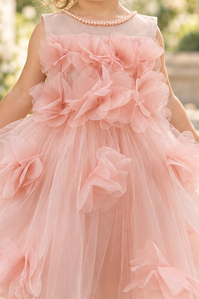 Blush Collection Baby Girl 3D Floral Special Occasion Dress