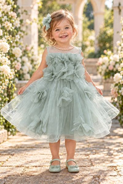 Blush Collection Baby Girl 3D Floral Special Occasion Dress