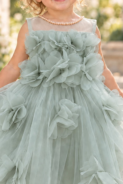 Blush Collection Baby Girl 3D Floral Special Occasion Dress