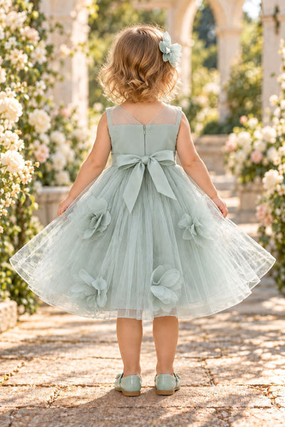 Blush Collection Baby Girl 3D Floral Special Occasion Dress