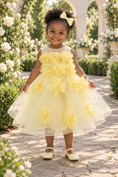 Blush Collection Baby Girl 3D Floral Special Occasion Dress