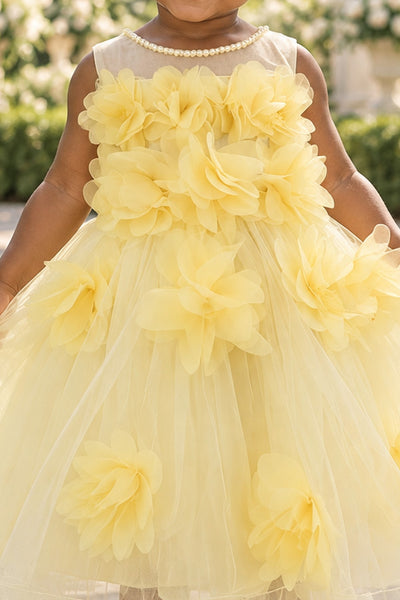 Blush Collection Baby Girl 3D Floral Special Occasion Dress