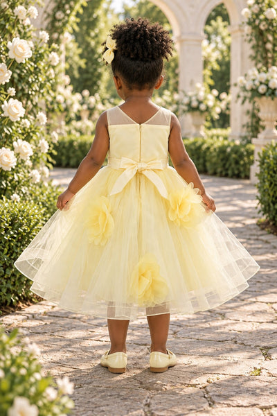 Blush Collection Baby Girl 3D Floral Special Occasion Dress
