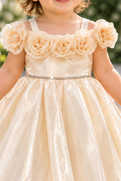 Baby Girls Rose Special Occasion Dress | Blush Collection