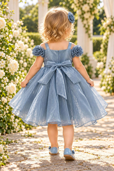 Baby Girls Rose Special Occasion Dress | Blush Collection