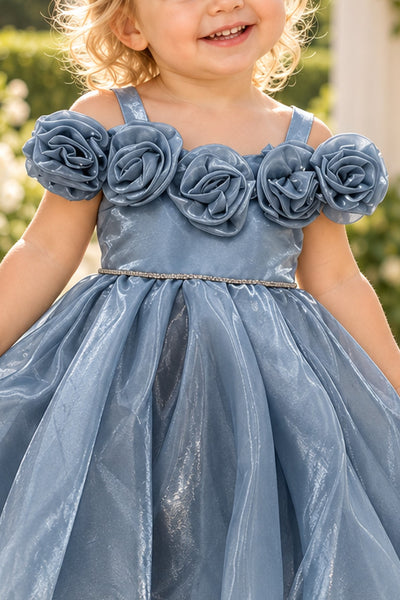 Baby Girls Rose Special Occasion Dress | Blush Collection