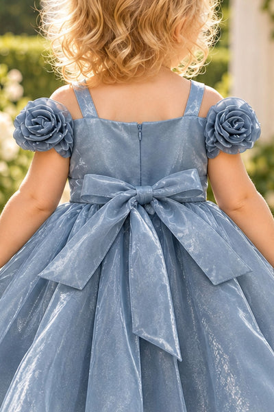 Baby Girls Rose Special Occasion Dress | Blush Collection