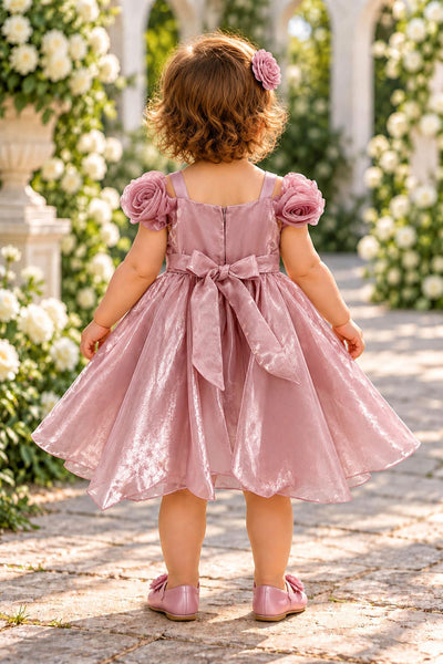 Baby Girls Rose Special Occasion Dress | Blush Collection