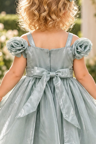 Baby Girls Rose Special Occasion Dress | Blush Collection