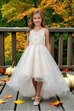 Blush Hi-Low Girls Pageant Dress | Communion & Party
