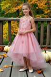 Blush Hi-Low Girls Pageant Dress | Communion & Party