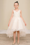 Blush Hi Low Flower Girl Dress with Lace Butterflies