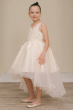 Blush Hi Low Flower Girl Dress with Lace Butterflies