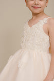 Blush Hi Low Flower Girl Dress with Lace Butterflies