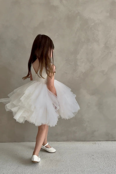 Annelise Rose Pale Pink Lace & Tulle Baby Dress