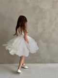 Annelise Rose Pale Pink Lace & Tulle Baby Dress
