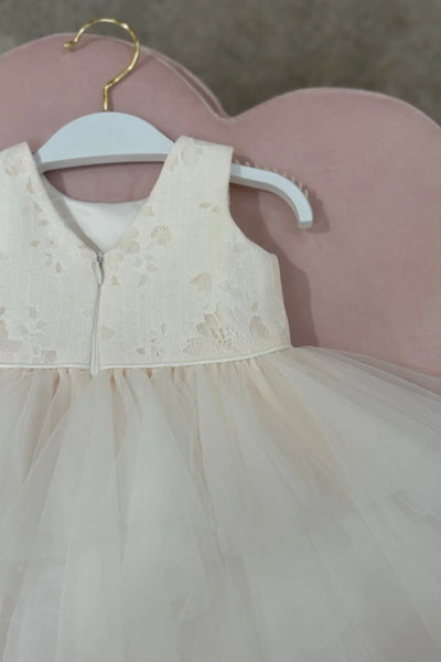 Annelise Rose Pale Pink Lace & Tulle Baby Dress