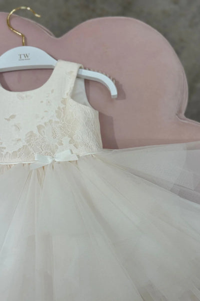 Annelise Rose Pale Pink Lace & Tulle Baby Dress