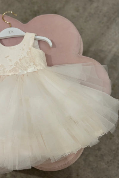 Annelise Rose Pale Pink Lace & Tulle Baby Dress