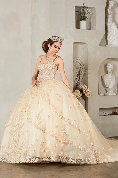 Samara Blush Pink Quinceañera Dress – Princess Collection