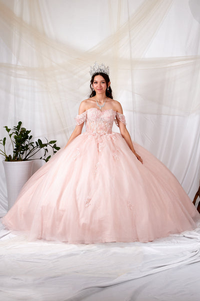 Alondra Blush Quinceañera Dress – Princess Collection